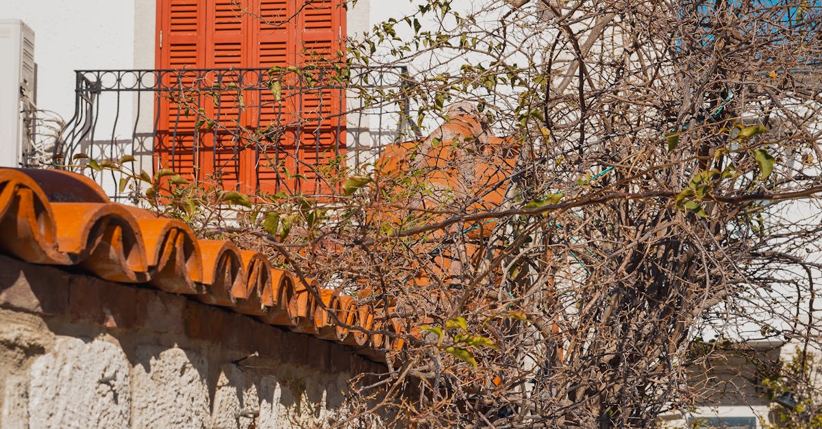 Energy Efficiency and Roof Insulation in the UK