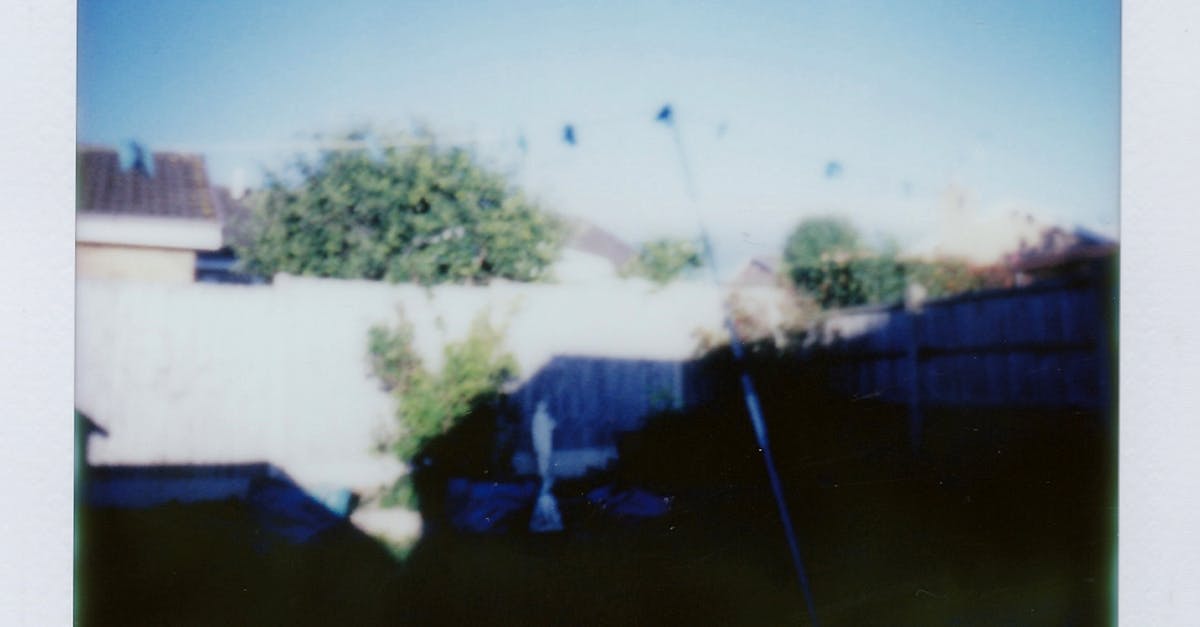 Exploring Pitched Roof Insulation Options for Energy Efficiency