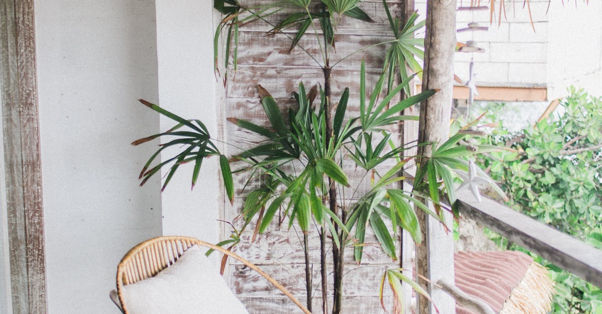 Hiring Professional Contractors for Flat Roof Repairs