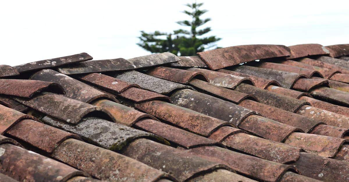 Types of Asphalt Shingles for UK Roofing Services