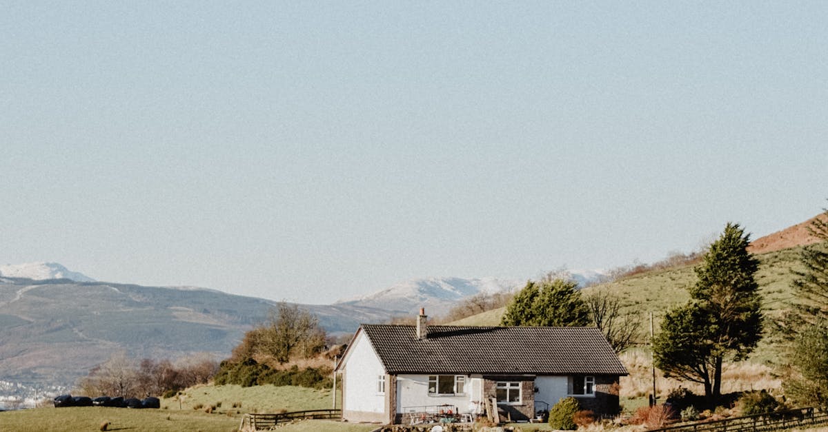 Understanding the Lifespan of Slate Roofing in the UK